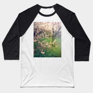 Apple Blossom Time in Leelanau Baseball T-Shirt